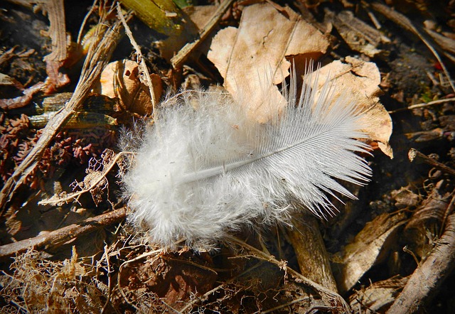 Learning to Live with Grief: Growing Around the Loss